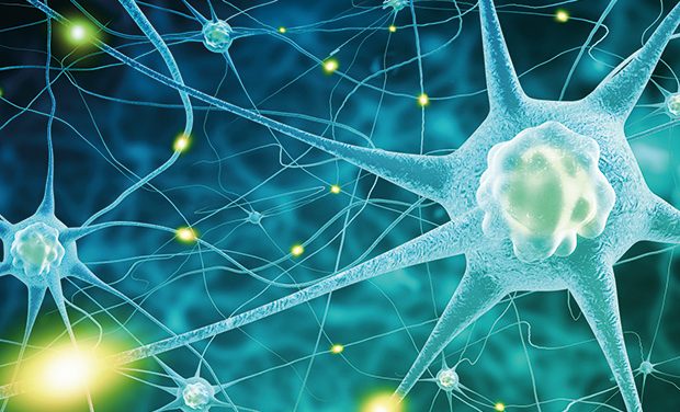 LifeArc and UKDRI invest £14.5m into neurodegeneration research