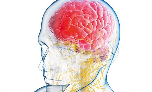 Study reveals SARS-CoV-2 can infect dopamine neurons causing senescence