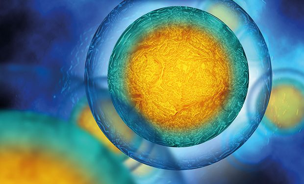 CellVoyant secures £7.6 million AI stem cell boost
