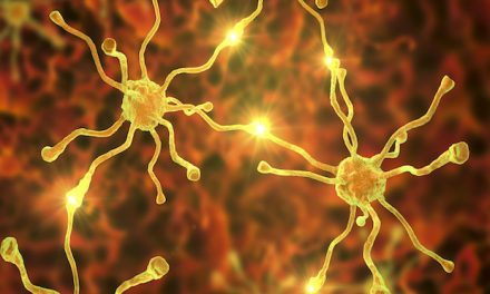 KCL study finds cell ageing could reveal early signs of neurodegenerative disease