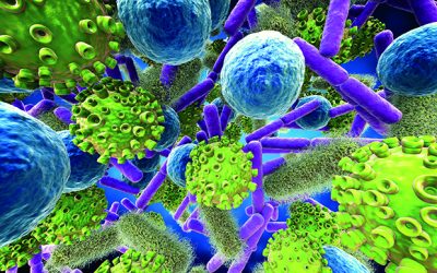 UK expands mandatory infectious disease reporting requirements