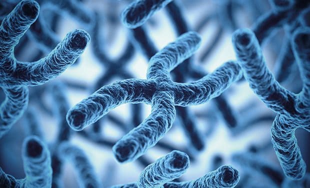 Nature publishes new research on genetic causes of colorectal cancer