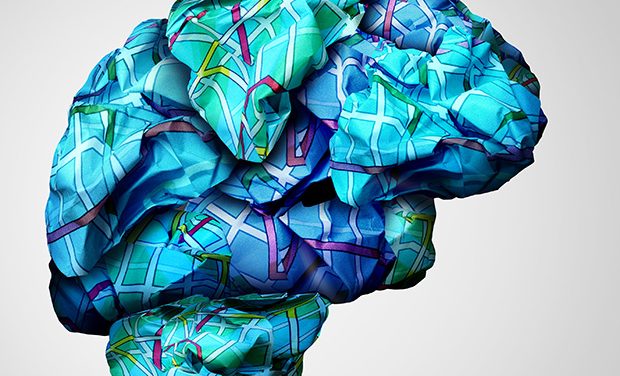 KCL and UCL scientists develop accurate AI brain imaging model for research