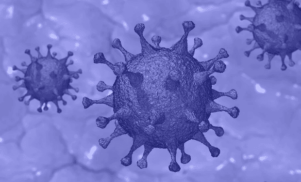 GSK links with Medicago to develop novel COVID-19 vaccine